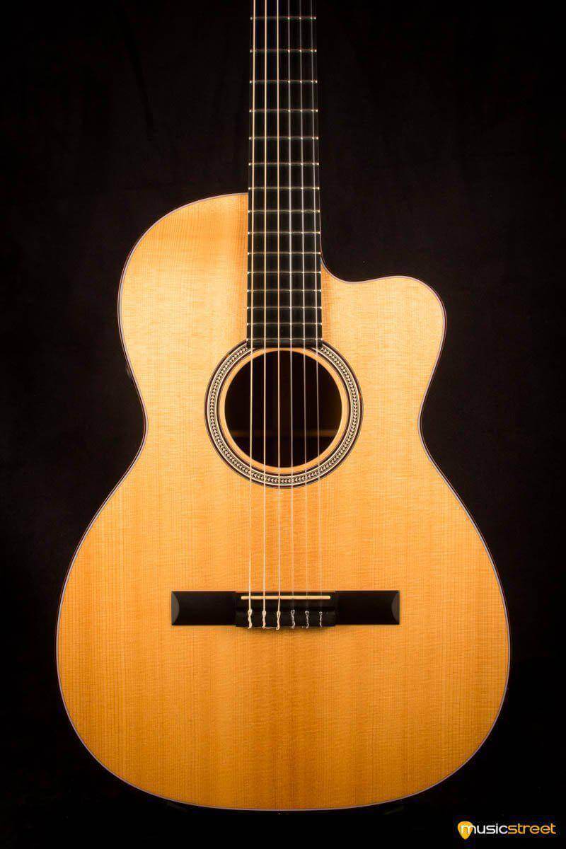 USED - Martin 000C Nylon Electro with hard case