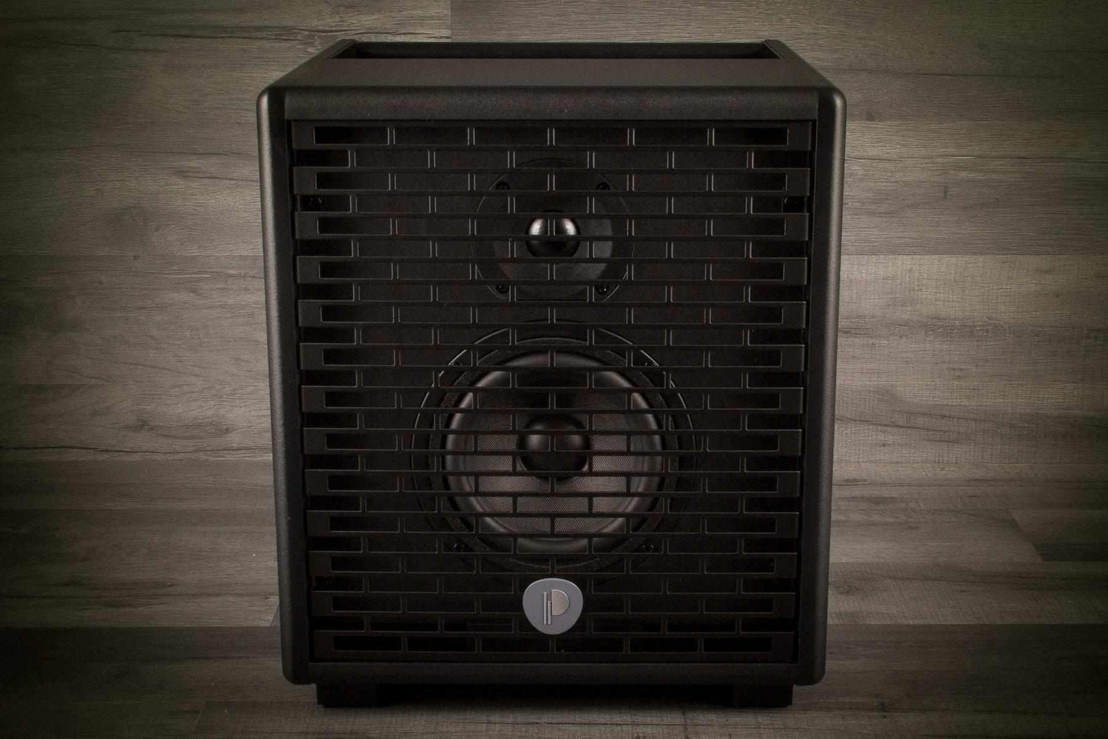 Prodipe Natural 5 Acoustic Guitar Amp