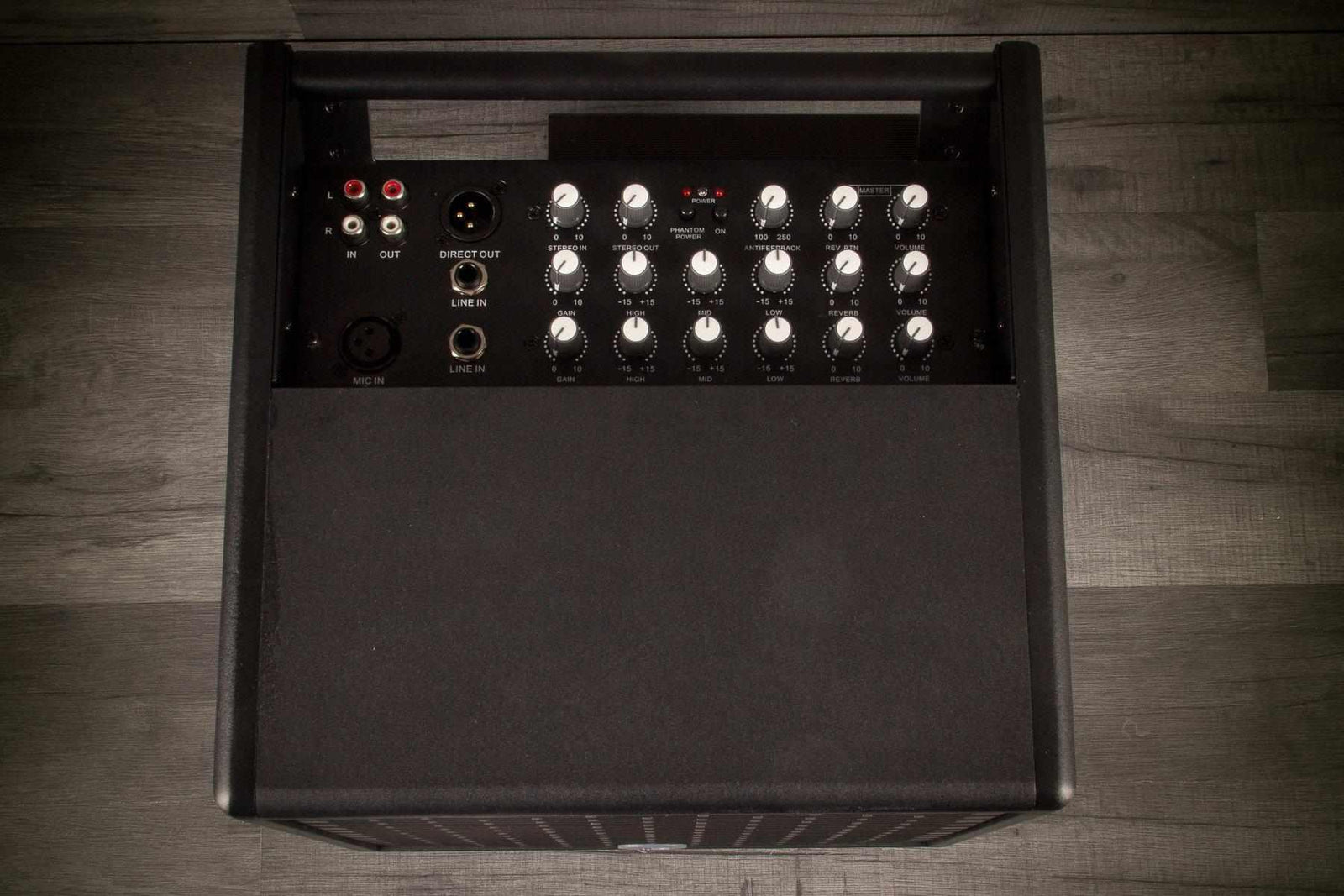 Prodipe Natural 5 Acoustic Guitar Amp