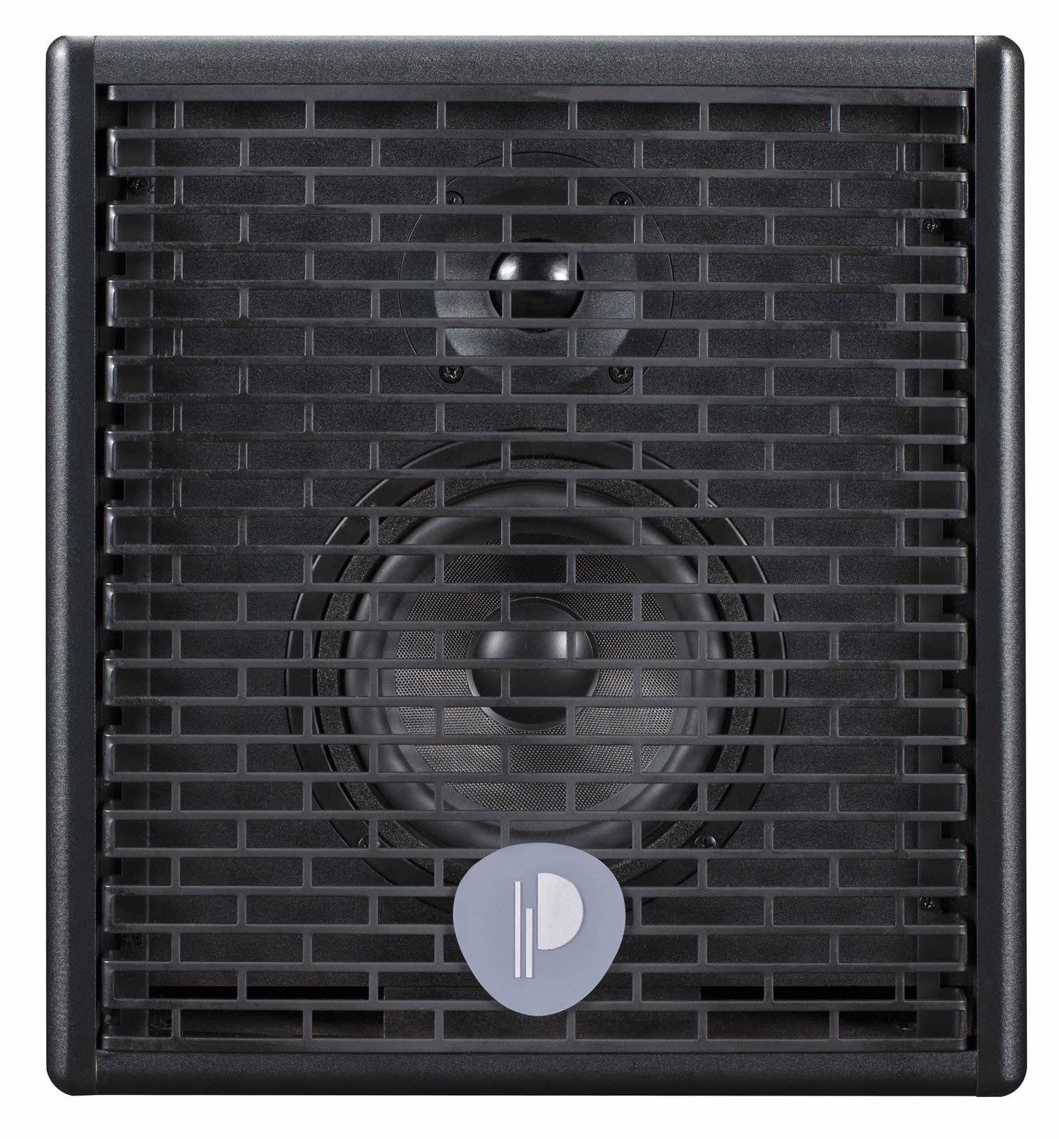 Prodipe Natural 5 Acoustic Guitar Amp