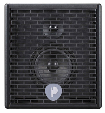 Prodipe Natural 5 Acoustic Guitar Amp