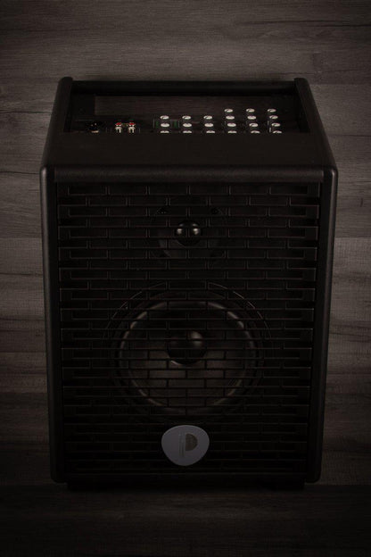 Prodipe Natural 6 Acoustic Guitar Amp