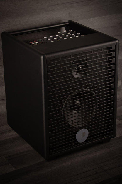 Prodipe Natural 6 Acoustic Guitar Amp