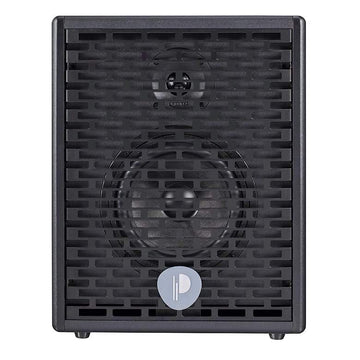 Prodipe Natural 6 Acoustic Guitar Amp