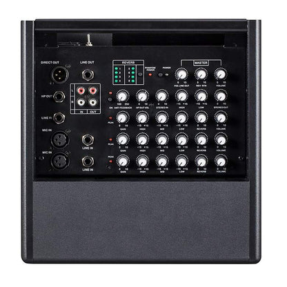 Prodipe Natural 6 Acoustic Guitar Amp