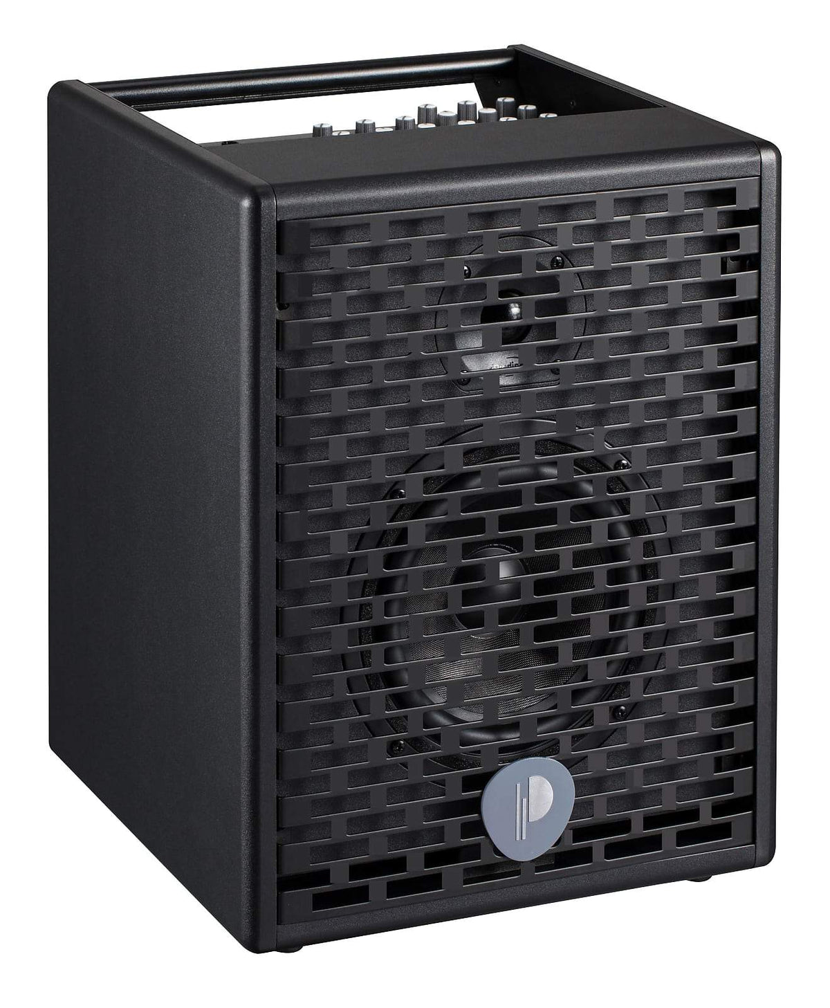 Prodipe Natural 6 Acoustic Guitar Amp