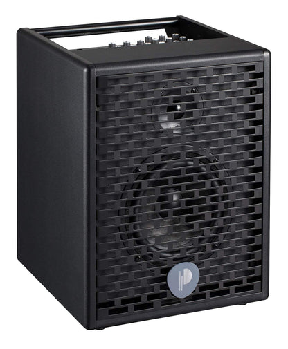 Prodipe Natural 6 Acoustic Guitar Amp