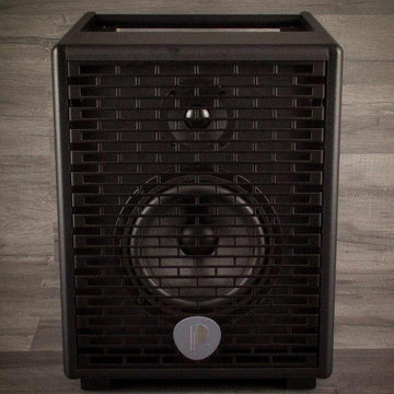 USED - Prodipe Natural 6 Acoustic Guitar Amp