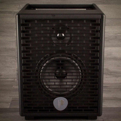 USED - Prodipe Natural 6 Acoustic Guitar Amp