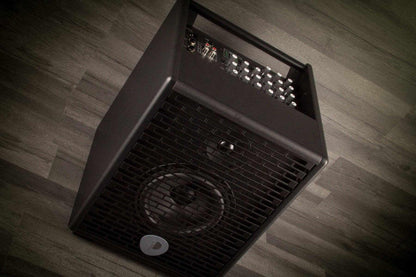 USED - Prodipe Natural 6 Acoustic Guitar Amp