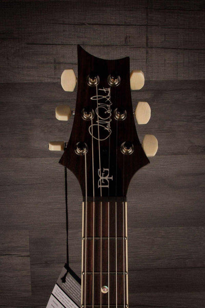 PRS DGT (David Grissom Trem) - AquaMarine #252168