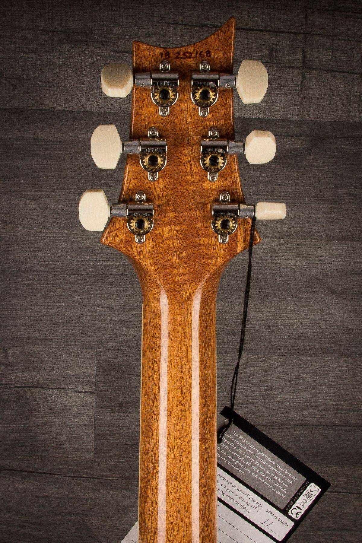 PRS DGT (David Grissom Trem) - AquaMarine #252168