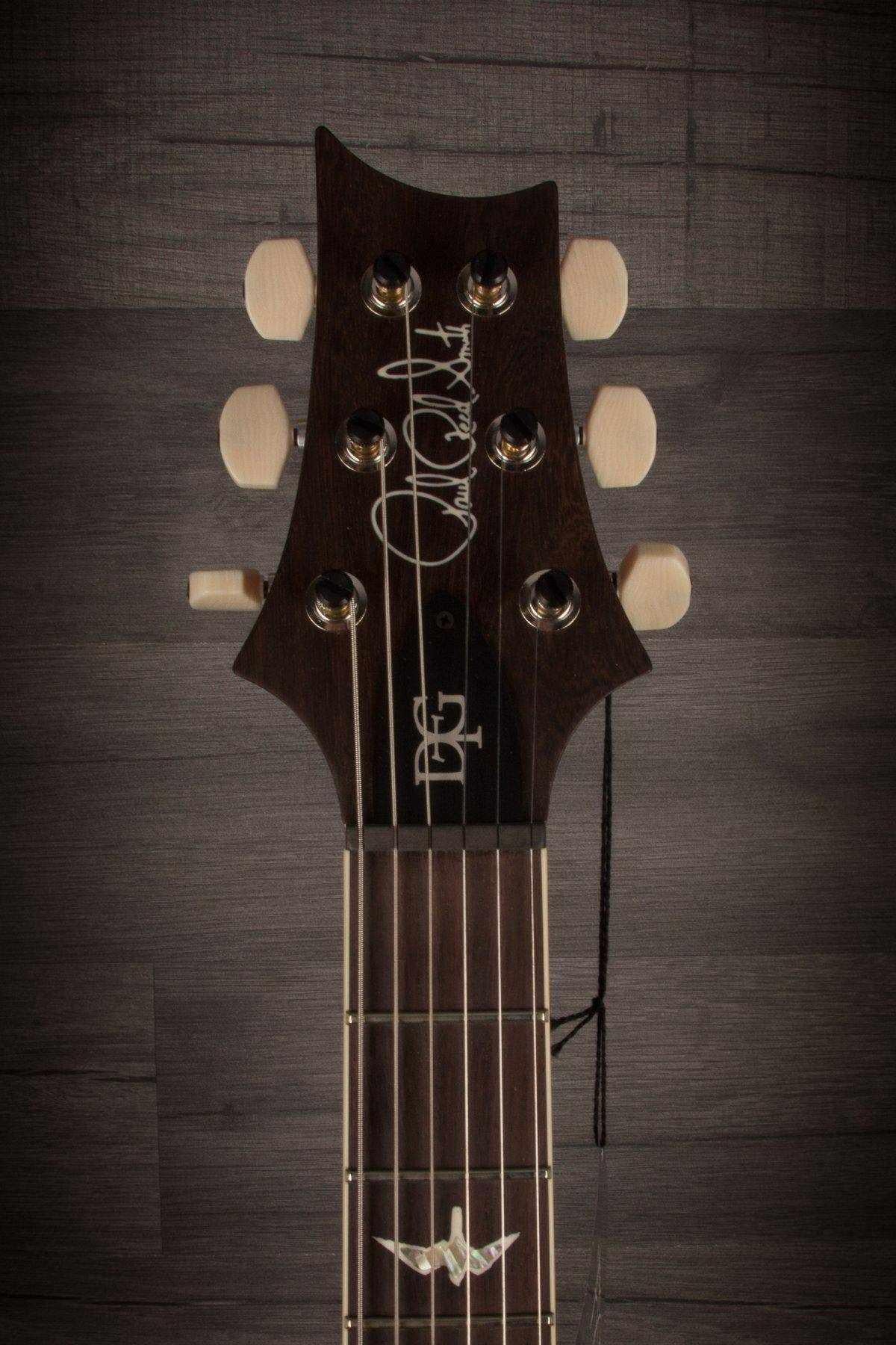 PRS DGT (David Grissom Trem) - Autumn Sky #249604