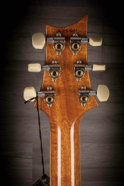 PRS DGT "David Grissom Trem" Faded Whale Blue Smokedburst s#251601