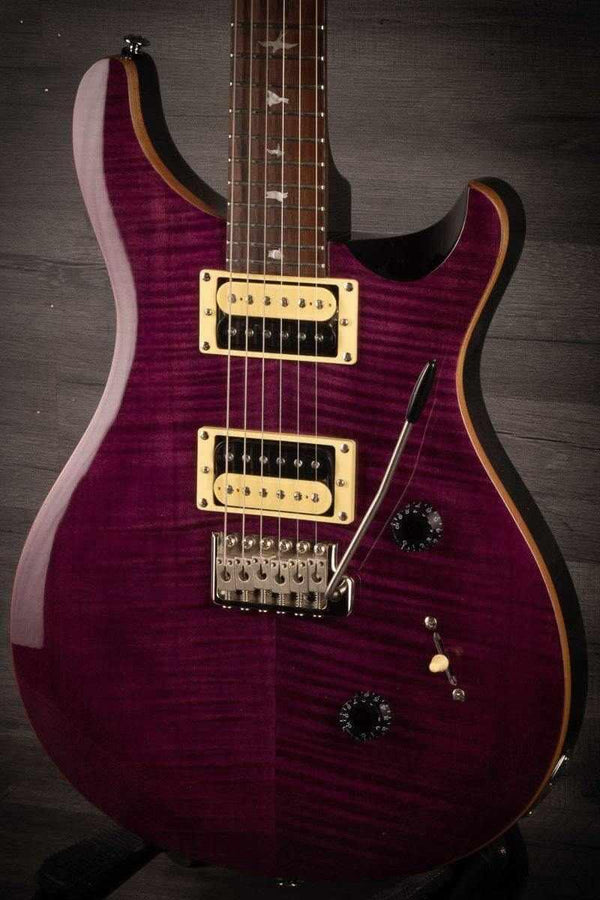 PRS SE Custom 24 Electric Guitar - Amethyst