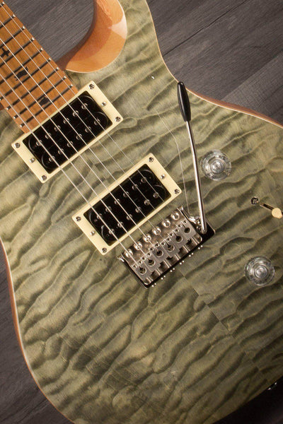 PRS - SE Custom 24 Roasted maple Limited Edition (Europe) - Trampas Green