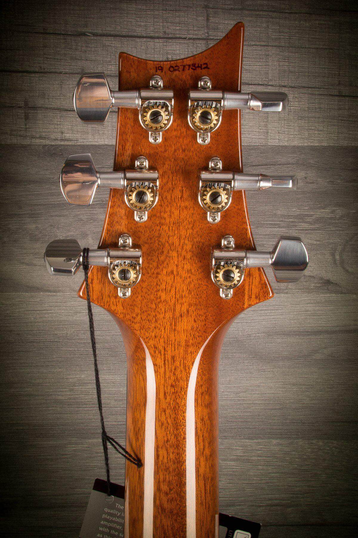 PRS Special Semi Hollow Limited Edition - River Blue