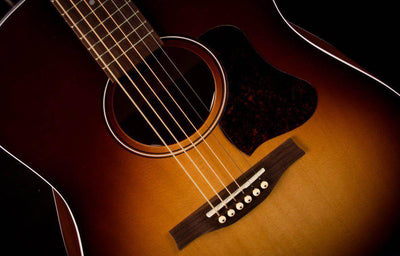 Seagull Entourage Acoustic Guitar, Autumn Burst Q1T