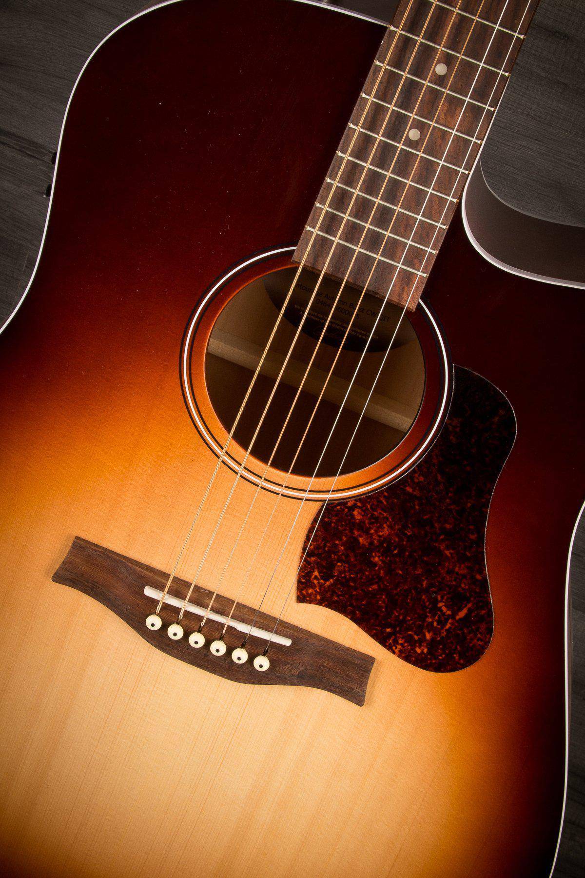 Seagull Entourage CW QIT Electro Acoustic, Autumn Burst