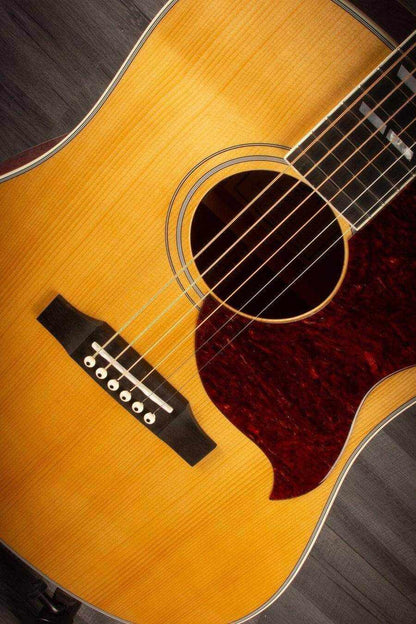 Sigma Special Edition SDM-SG6 All-solid LR Baggs