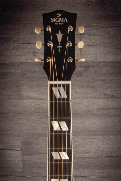 Sigma Special Edition SDM-SG6 All-solid LR Baggs