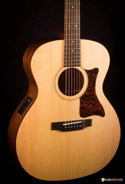 USED - Sigma Sig-GME including TGI hard case
