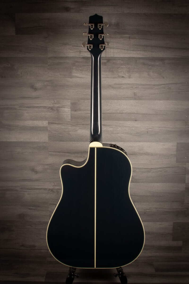 Takamine Japanese Limited LTD2021 - Blue Rose