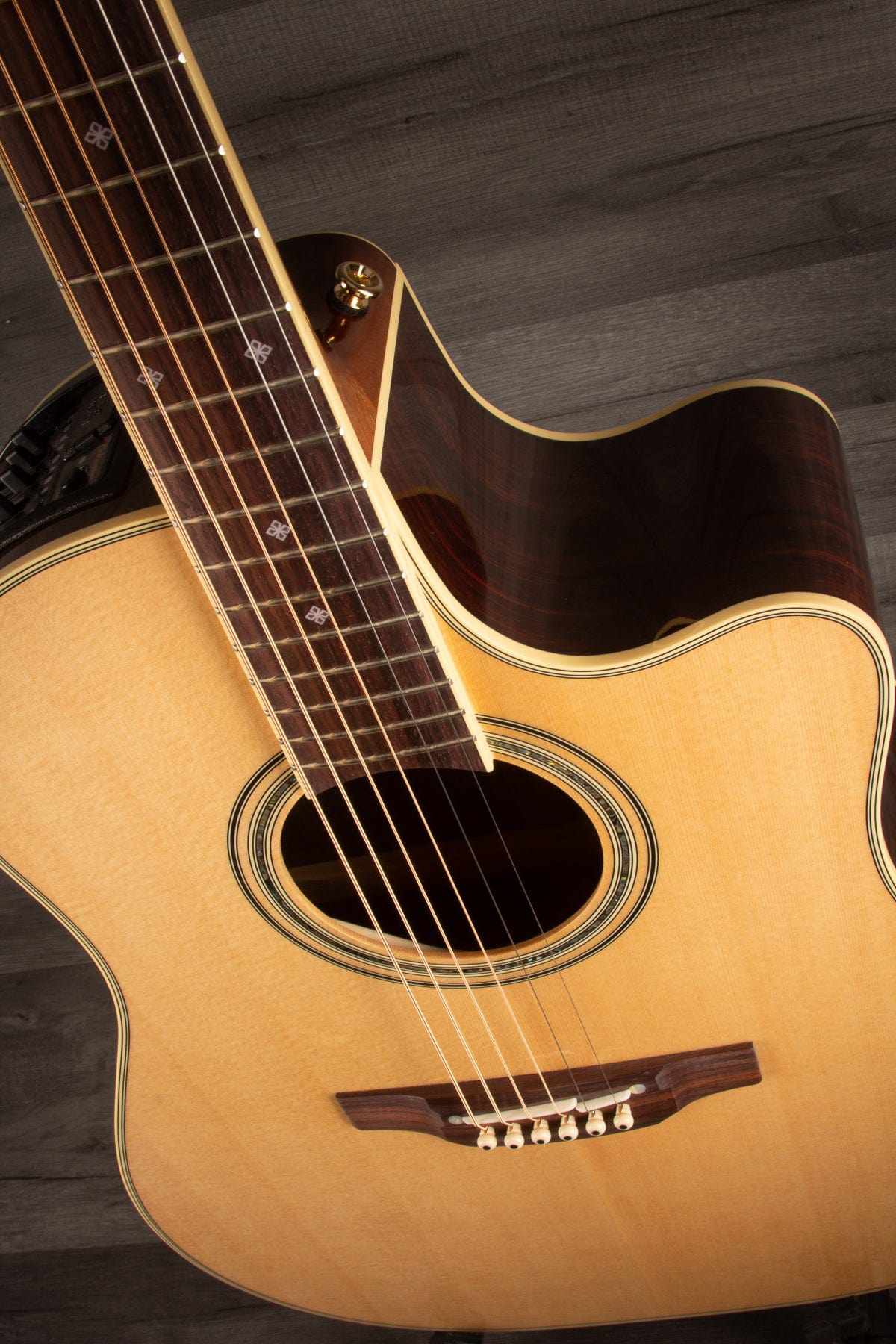 Takamine Acoustic Guitar Takamine PTU841C Natural