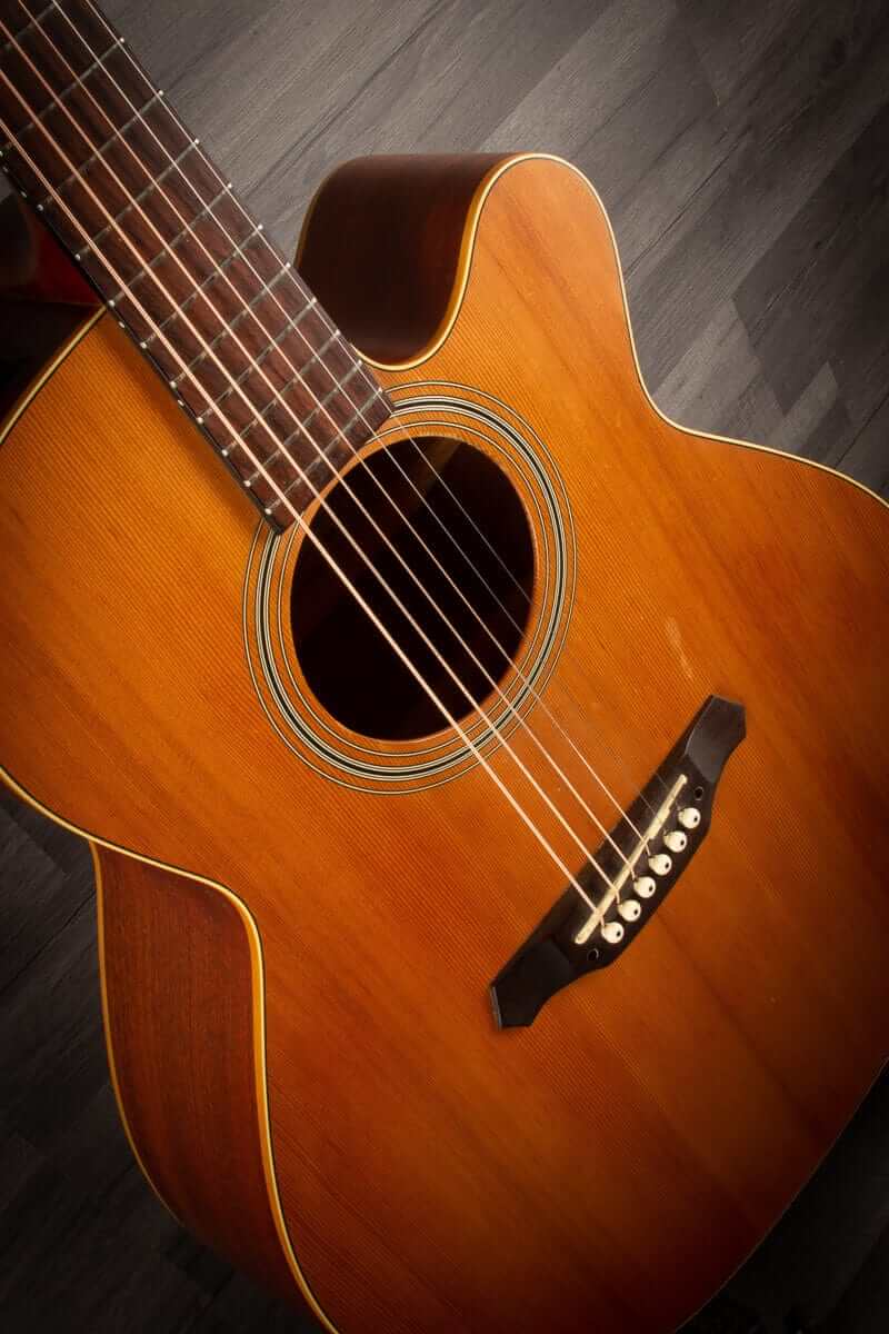 Takamine Acoustic Guitar USED Takamine EGS430SC