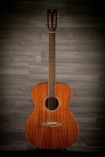 Tanglewood TW130SM, Acoustic Guitar