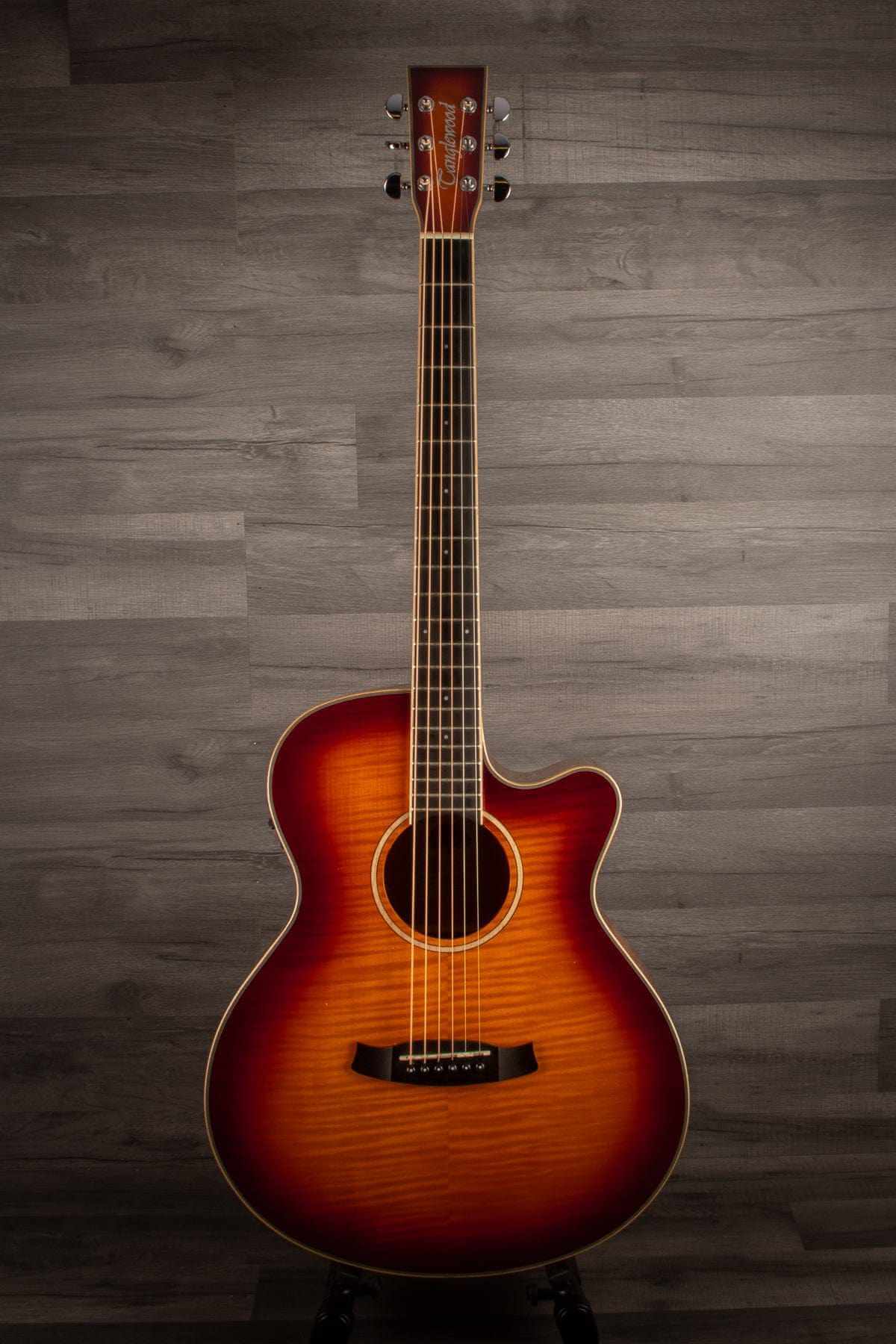Tanglewood - TW4EFM Winterleaf Super Folk - Acoustic Guitar