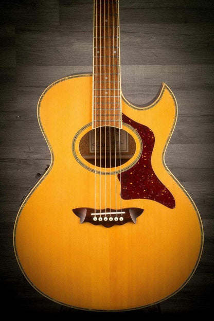 USED - Washburn EA27 Electro Acoustic Guitar
