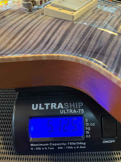 Patrick James Eggle Macon Carved Top Semi Electric Guitar - Blue Burst, Falling Leaves s#30846