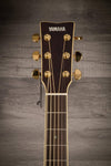 Yamaha Acoustic Guitar Yamaha LS TA Brown Sunburst